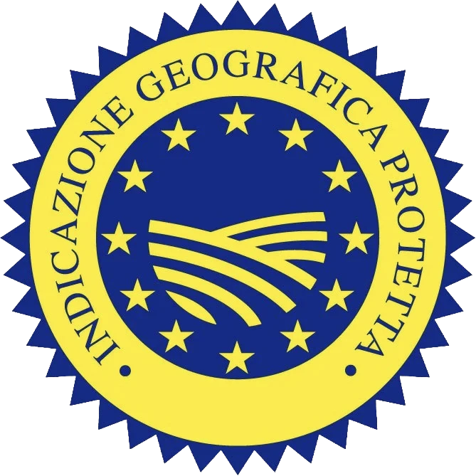logo igp
